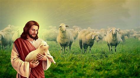 jesus pictures with sheep|More.